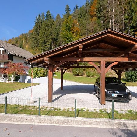 Apartmán Savadolinka House Mojstrana Exteriér fotografie