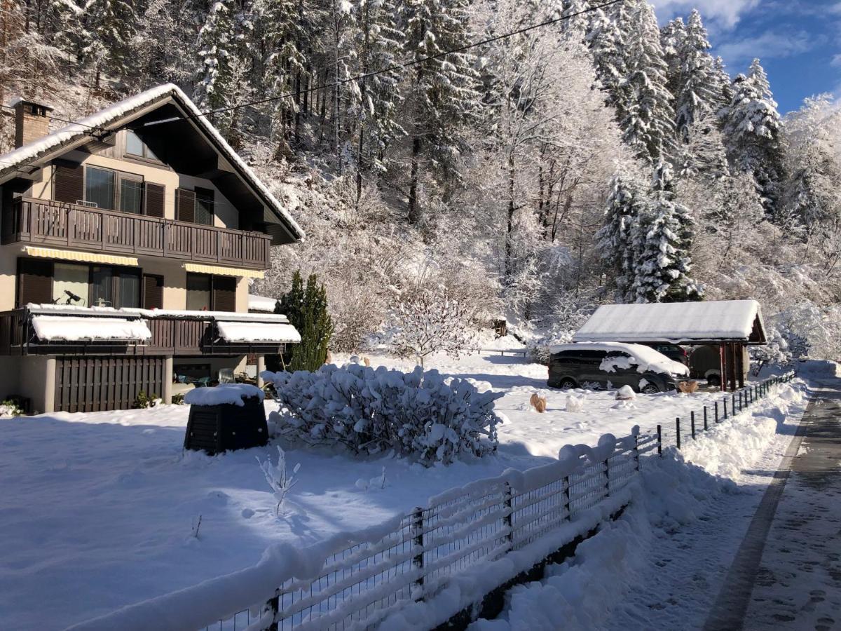 Apartmán Savadolinka House Mojstrana Exteriér fotografie