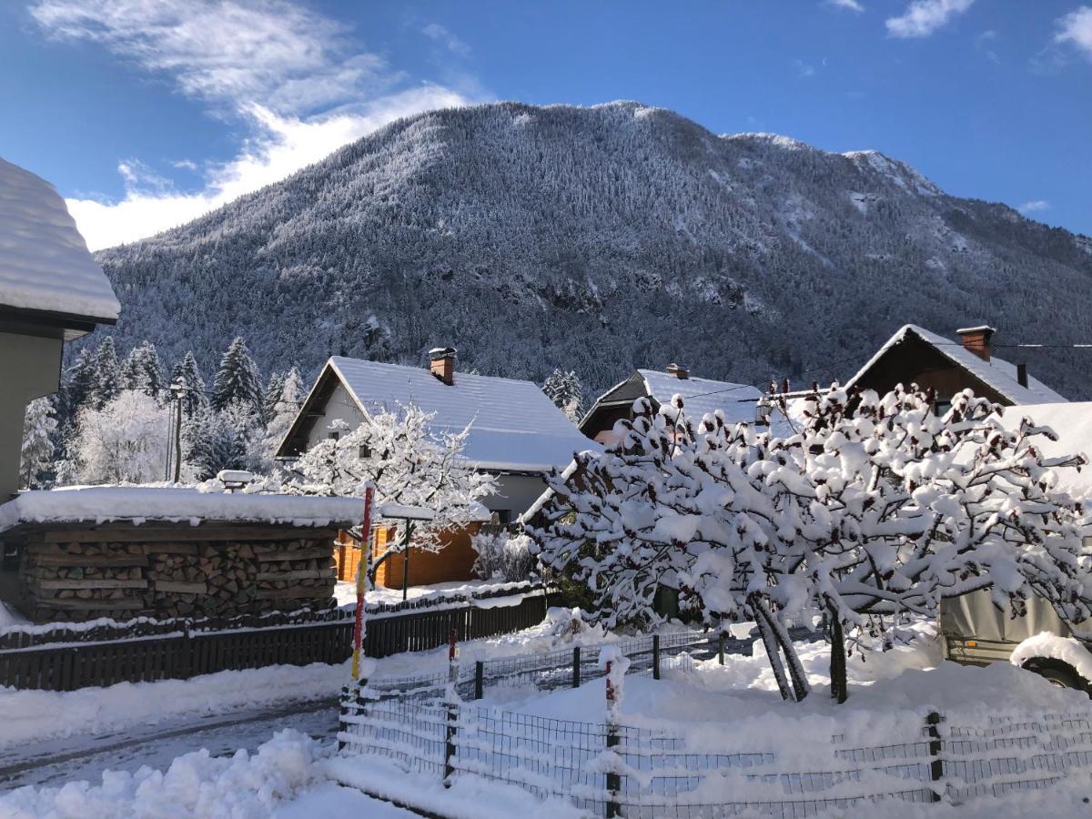 Apartmán Savadolinka House Mojstrana Exteriér fotografie