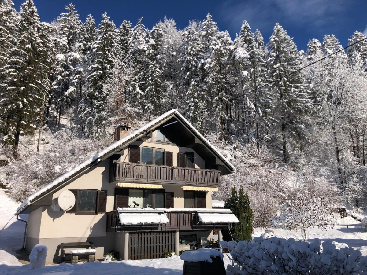 Apartmán Savadolinka House Mojstrana Exteriér fotografie