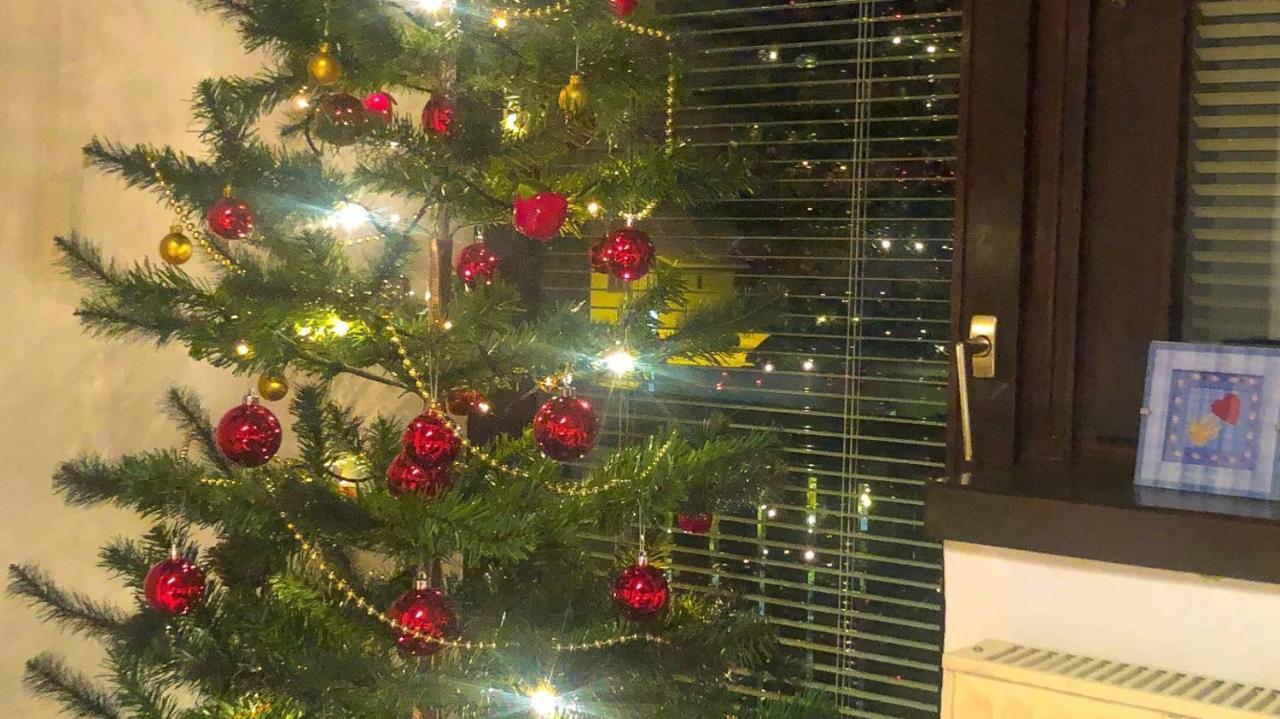 Apartmán Savadolinka House Mojstrana Exteriér fotografie