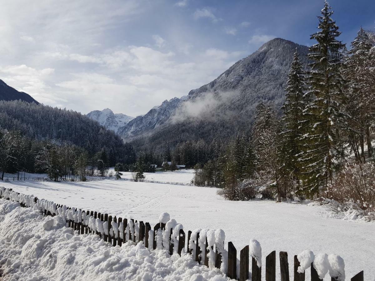 Apartmán Savadolinka House Mojstrana Exteriér fotografie