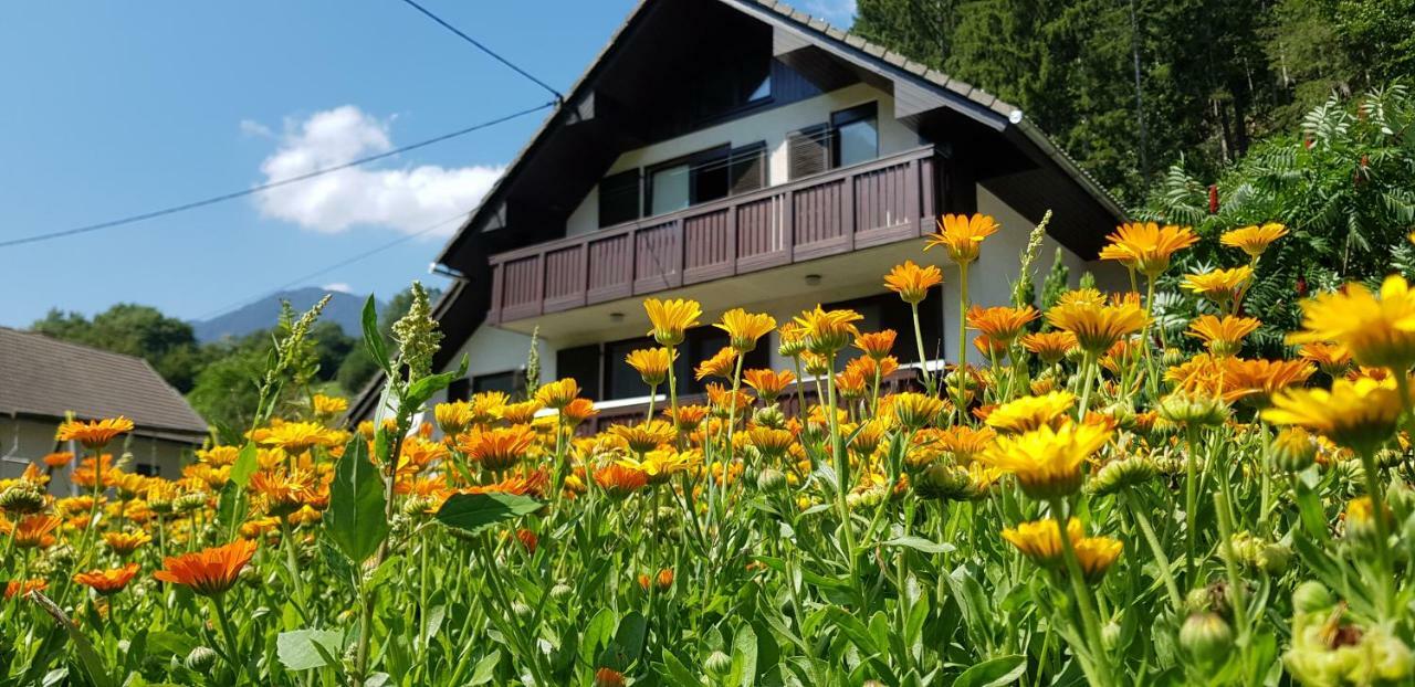 Apartmán Savadolinka House Mojstrana Exteriér fotografie