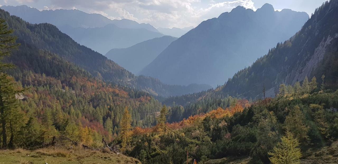 Apartmán Savadolinka House Mojstrana Exteriér fotografie